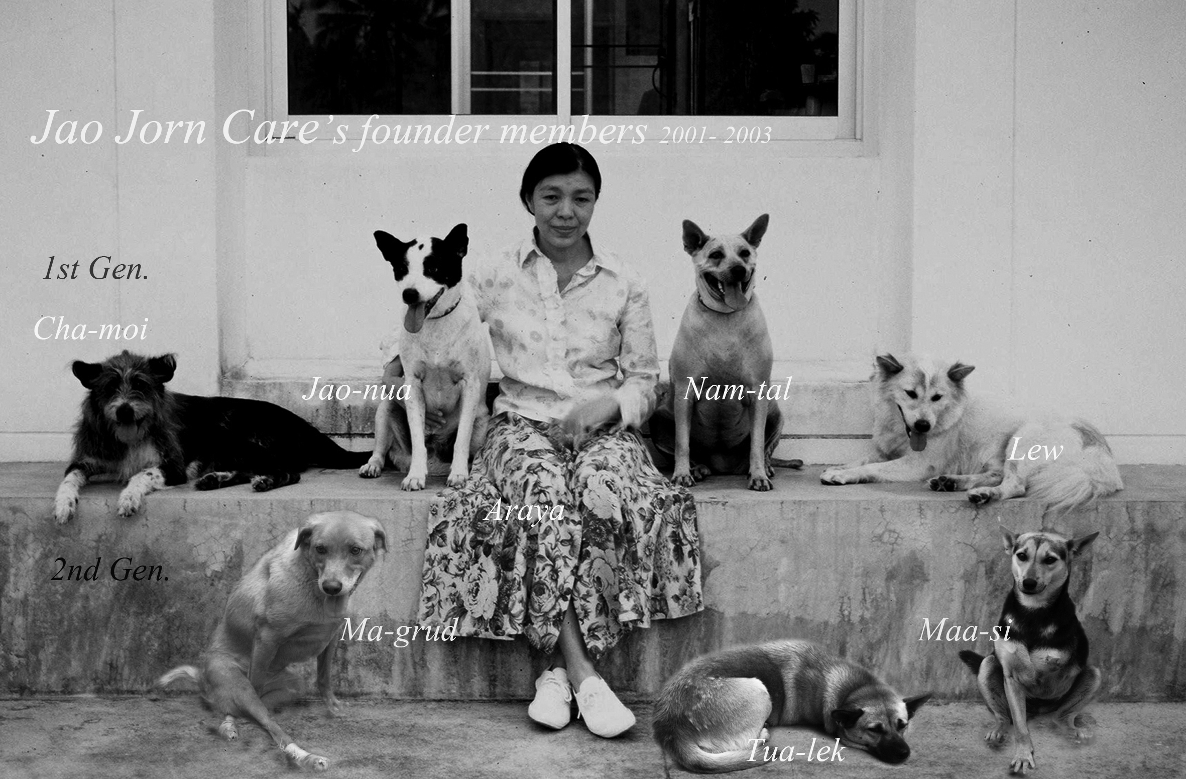 jaojorn founder members