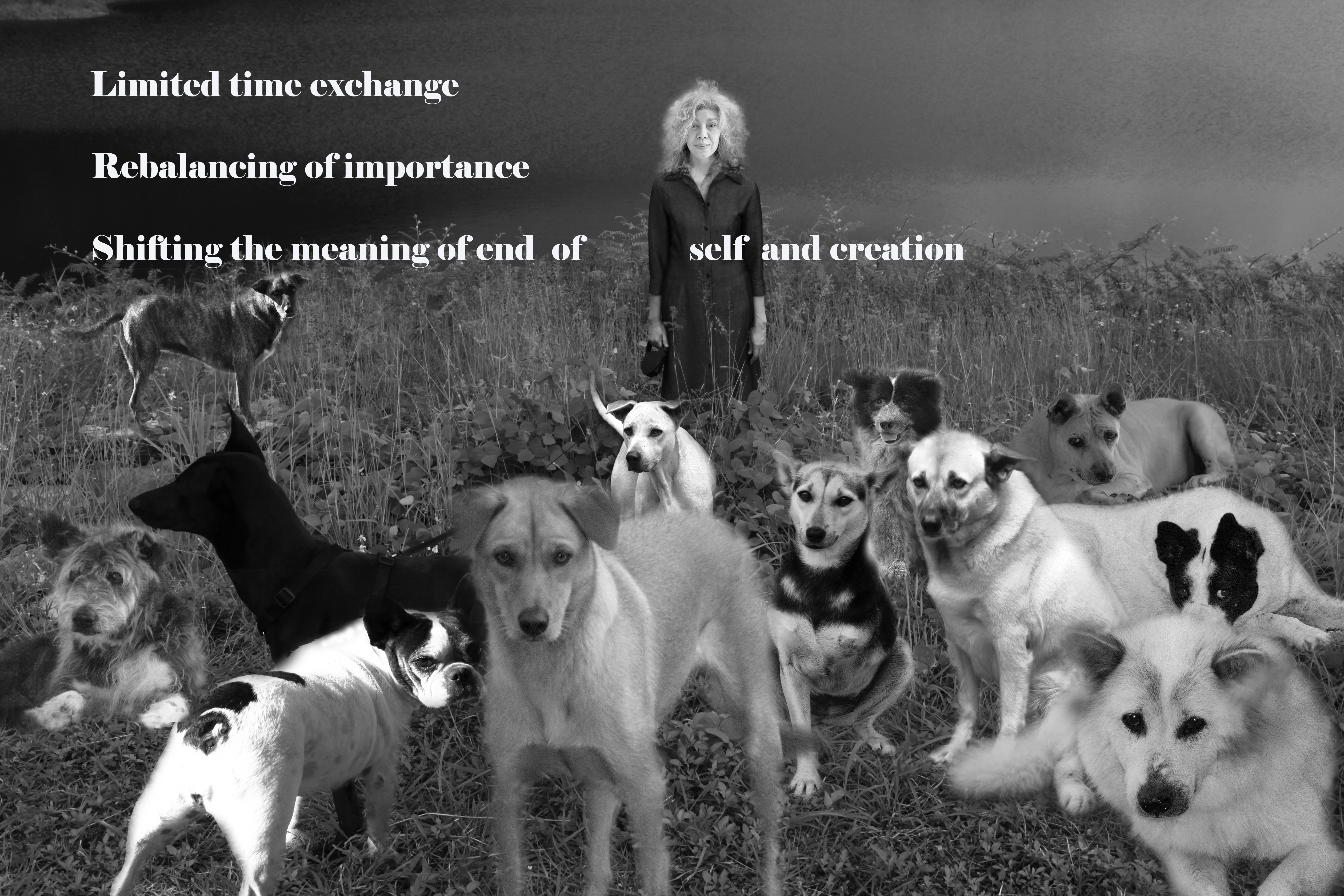 proj.dream ใต้ 1.2.